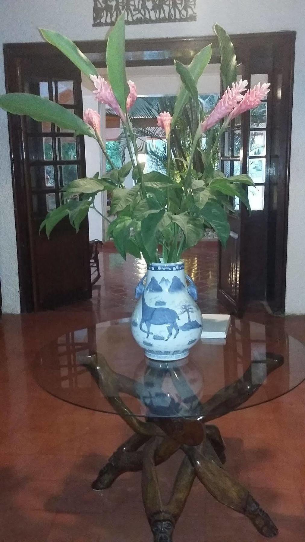 Hotel Mont Joli Cap-Haitien Luaran gambar